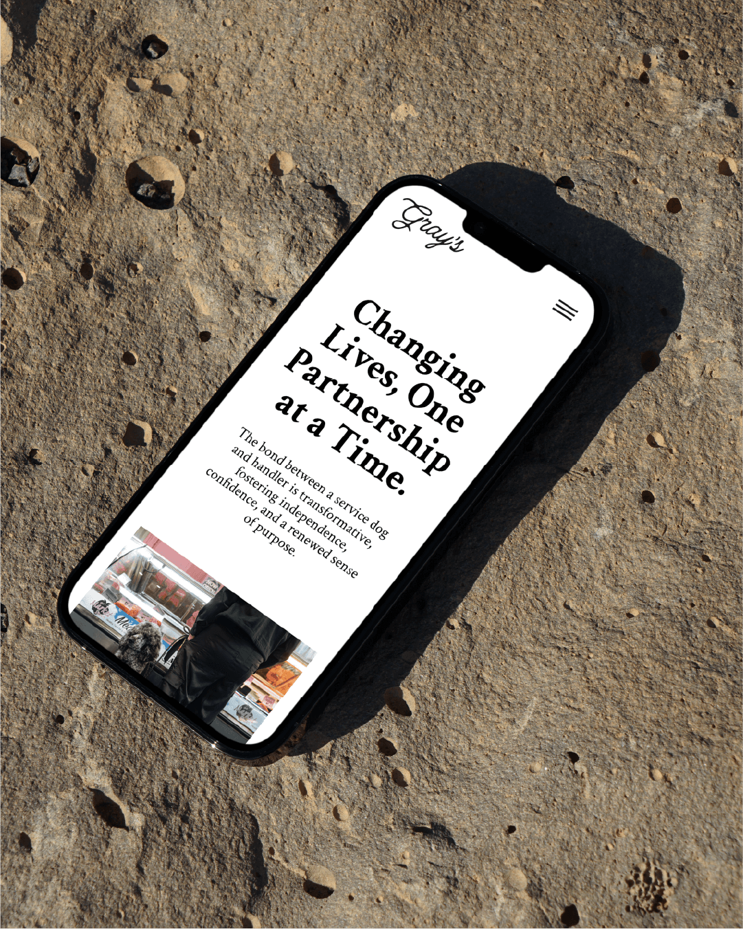 mbrand-portfolio-grays-canine-academy2