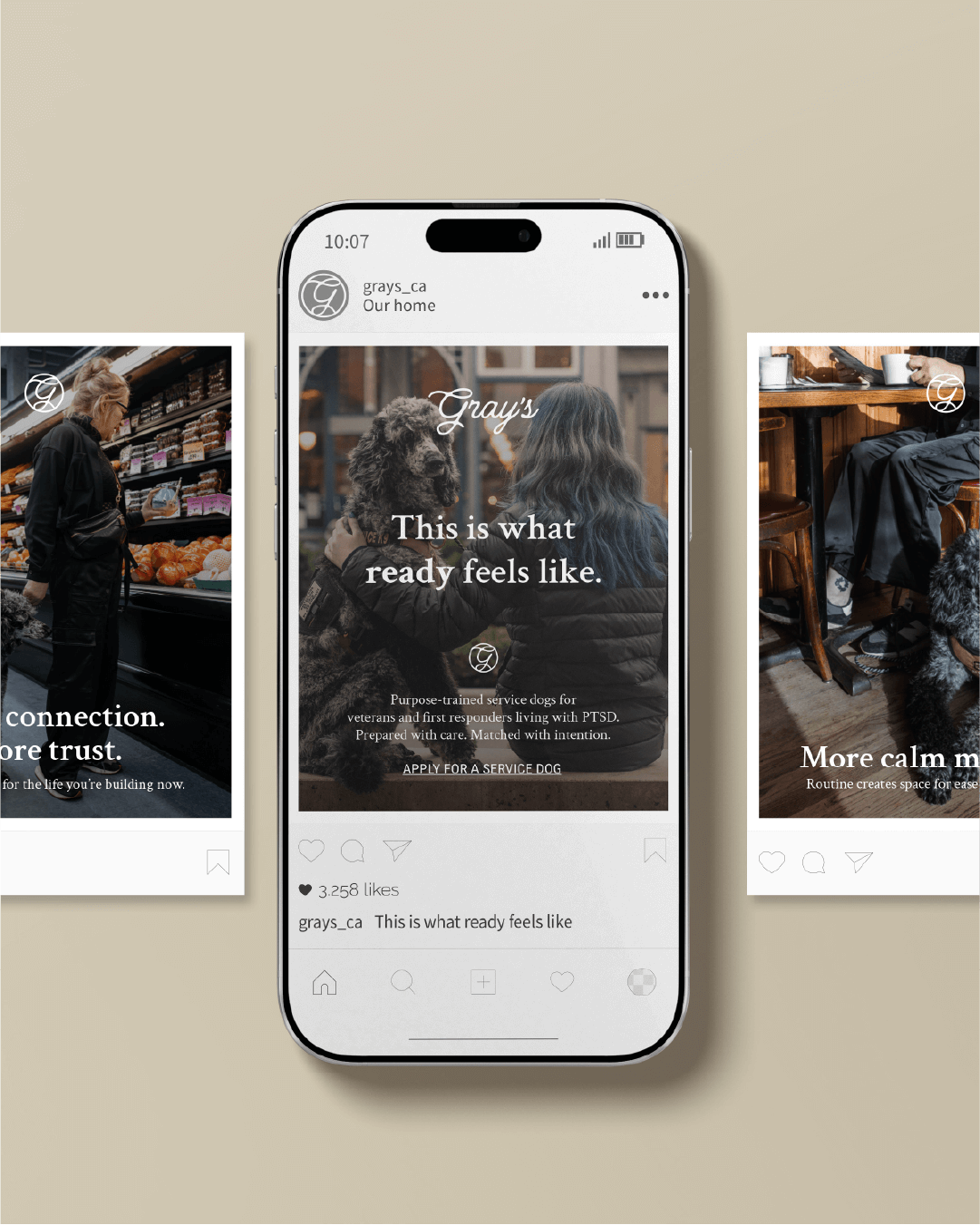 mbrand-portfolio-grays-canine-academy7