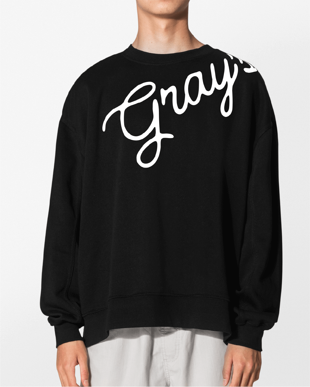 mbrand-portfolio-grays-canine-academy8