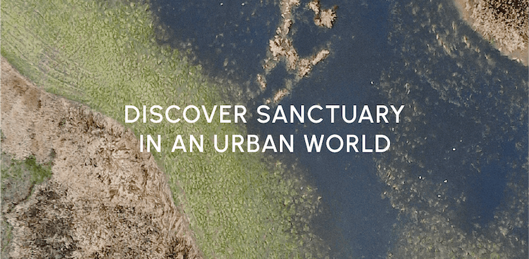 Swan Lake Nature Sanctuary
